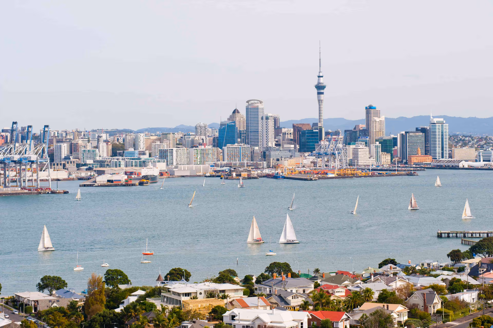 Auckland Cruise New