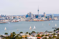 Auckland Cruise New