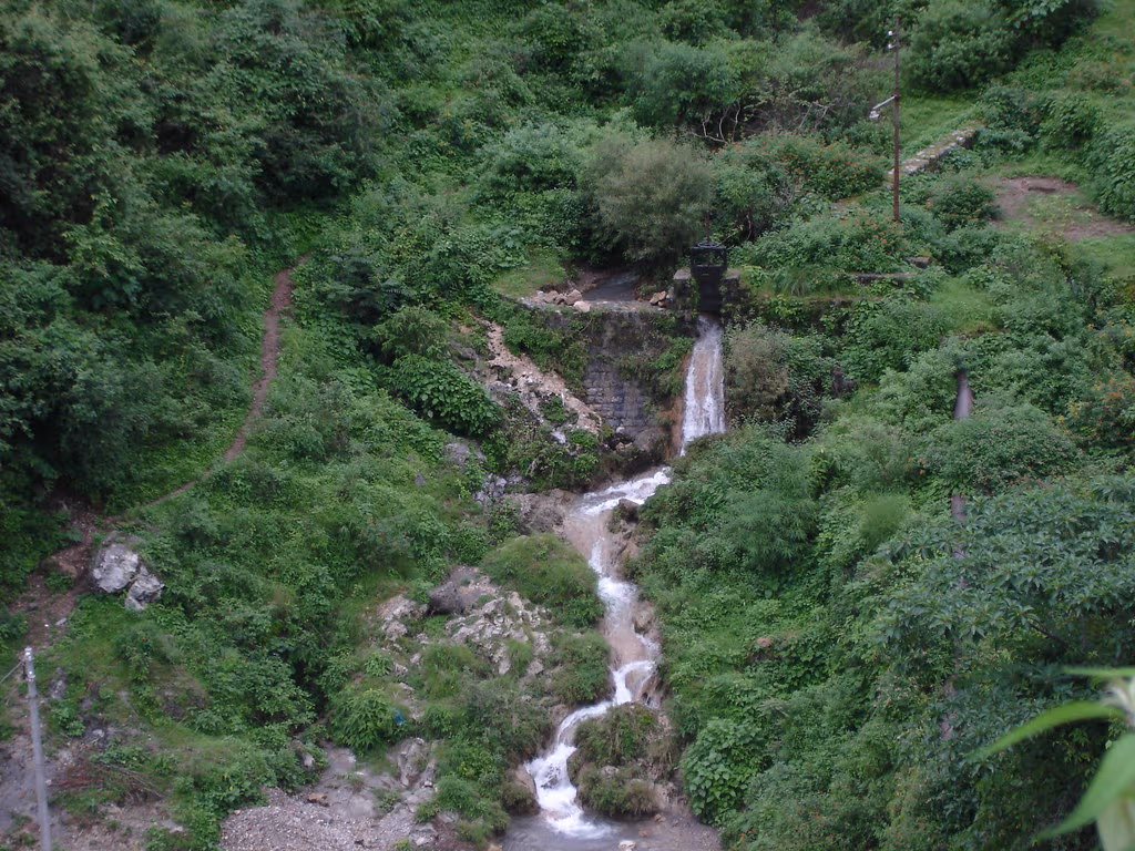 Fallback Image