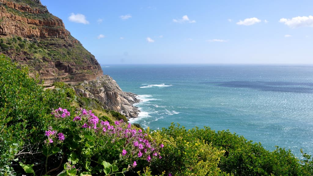 Chapmans Peak