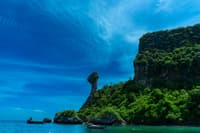 Chicken island