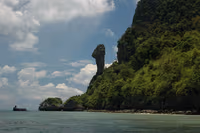 Chicken island 1