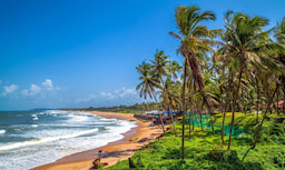 Goa City Image
