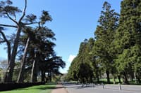 Cornwall Park