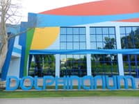 Dubai Dolphinarium