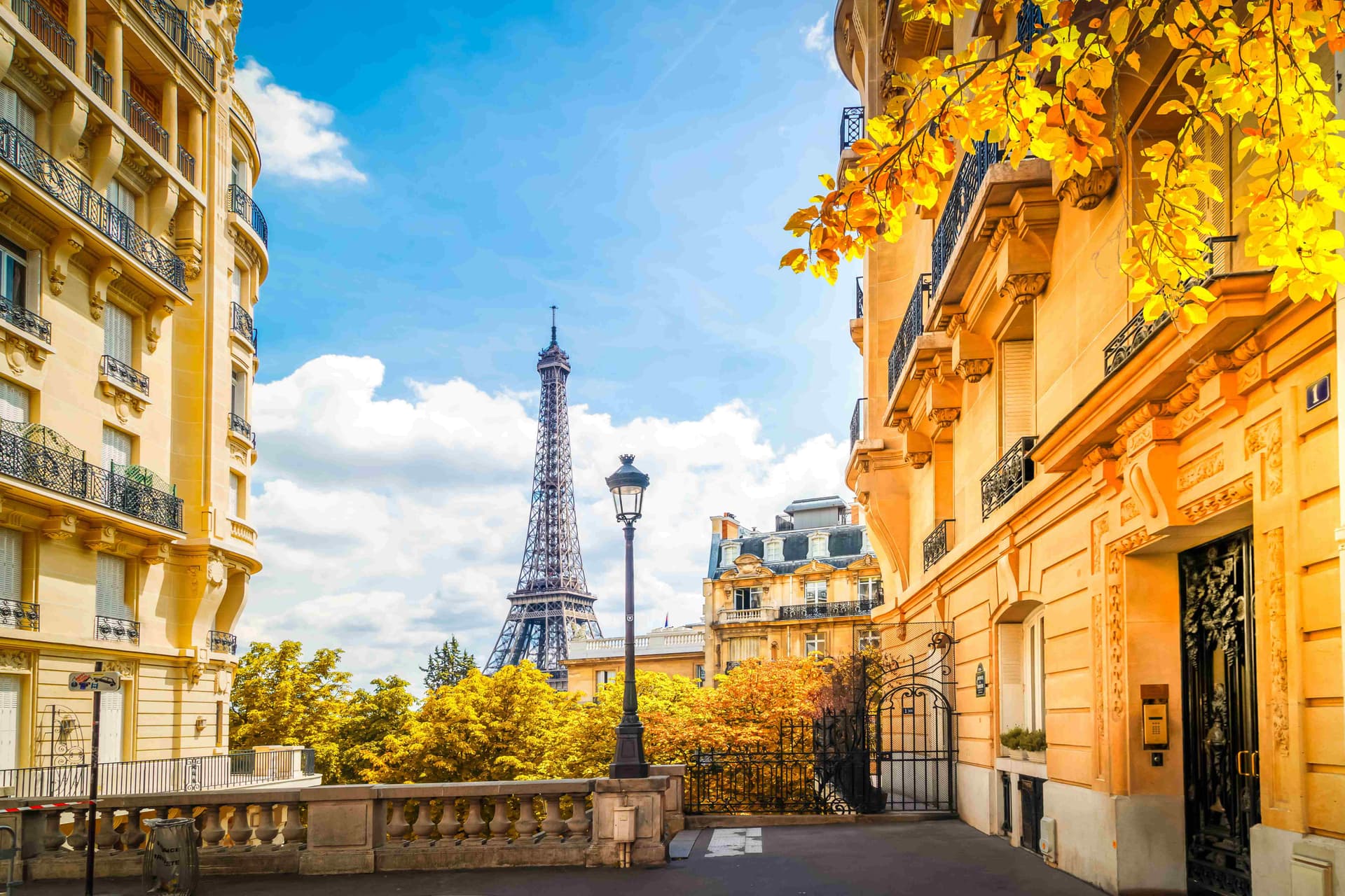 Eiffel Tower And Paris Street