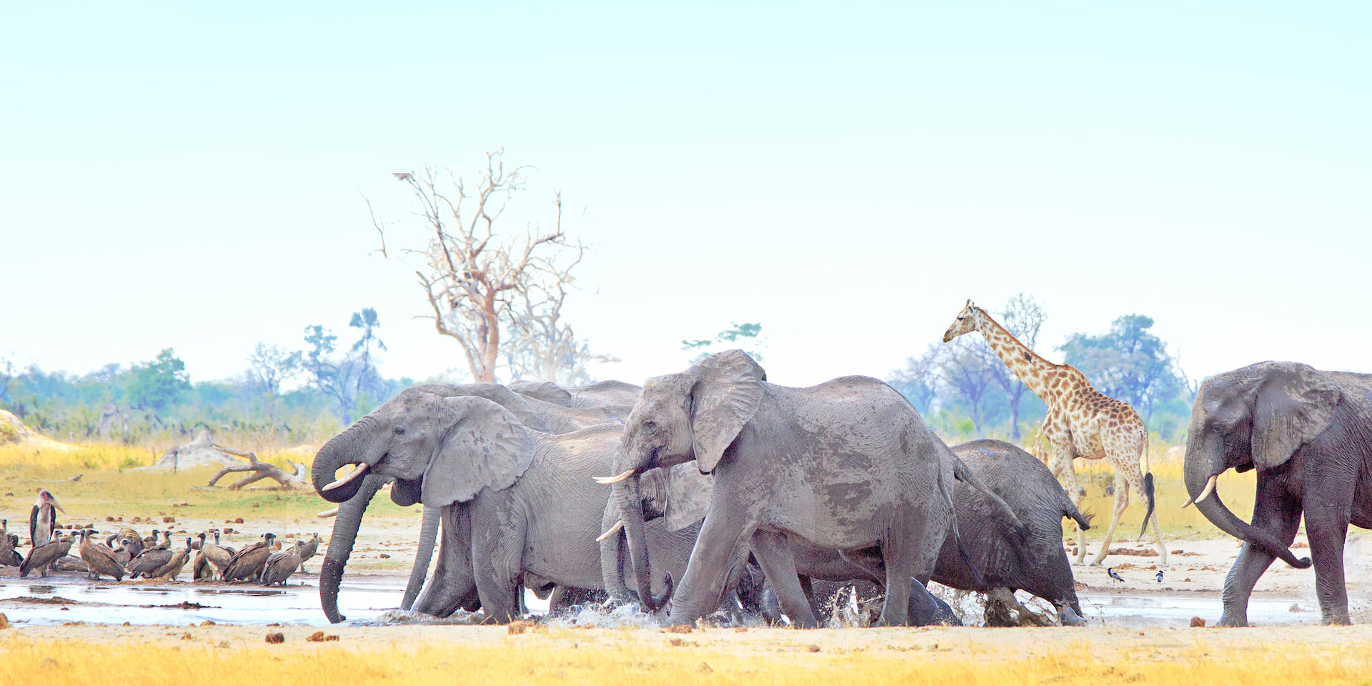 Hwange National Park