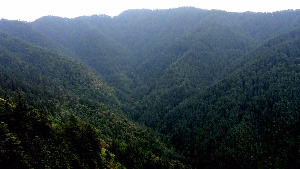 Kufri Valley