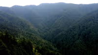 Kufri Valley