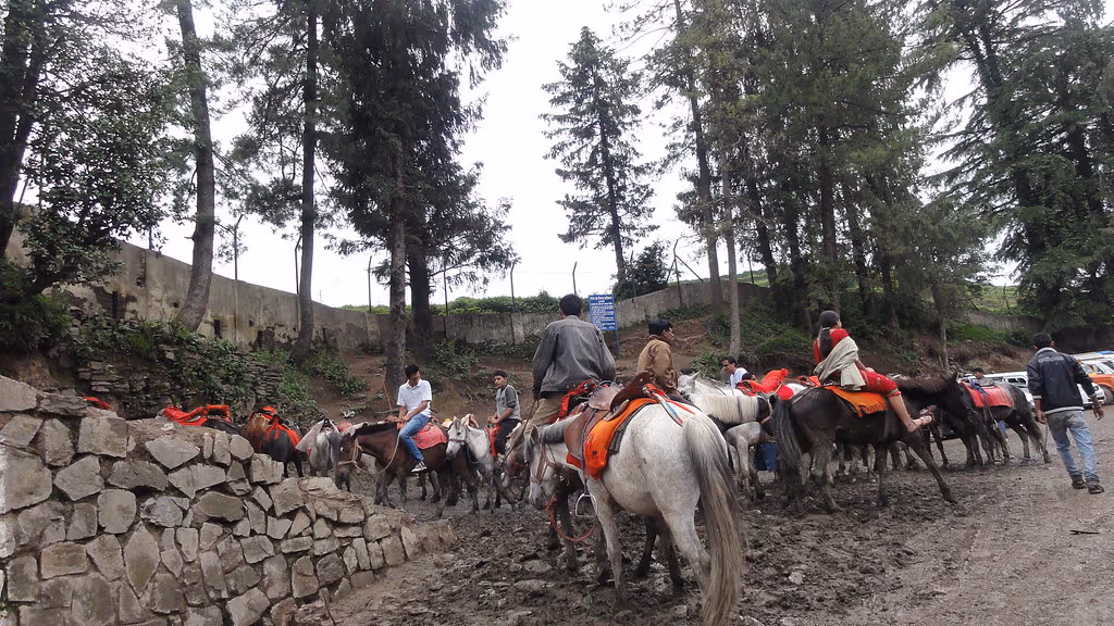 Kufri Valley