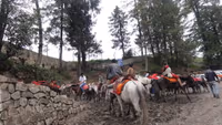 Kufri Valley