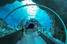 Singapore SEA Aquarium