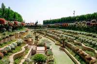 Miracle Garden