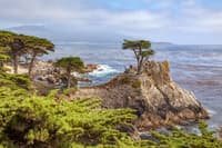 Monterey and Carmel tour