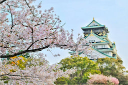 Osaka Castle Outside view