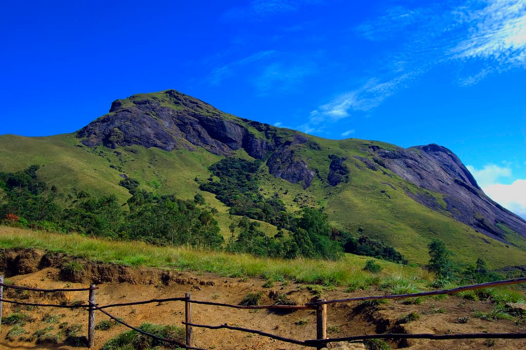 Rajamalai (Eravikulam) National Park