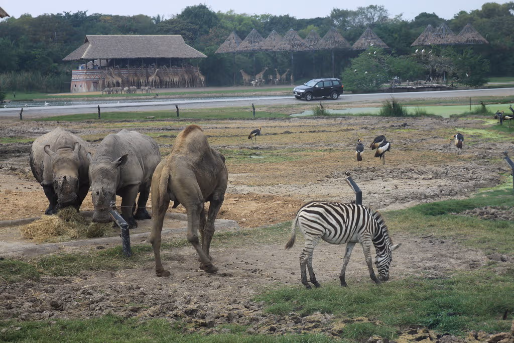 Safari World