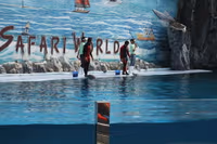 Safari World