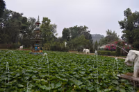 Saheliyon Ki Bari