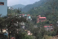 Shimla