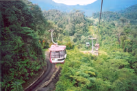 Skyway Cable 2