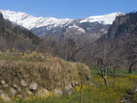 Solang Valley