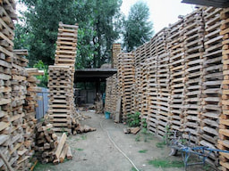 Cricket Bat Factories