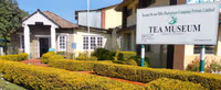 Tea Gardens & Museums