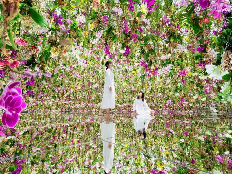 Team Lab Super Nature Macau