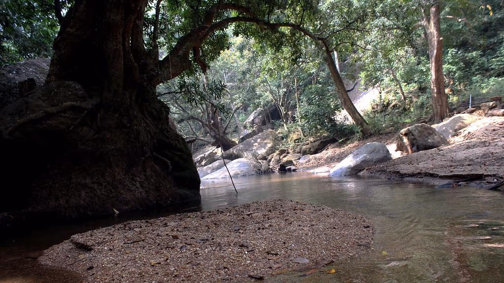 Thommankuthu waterfall