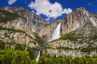 Total Yosemite