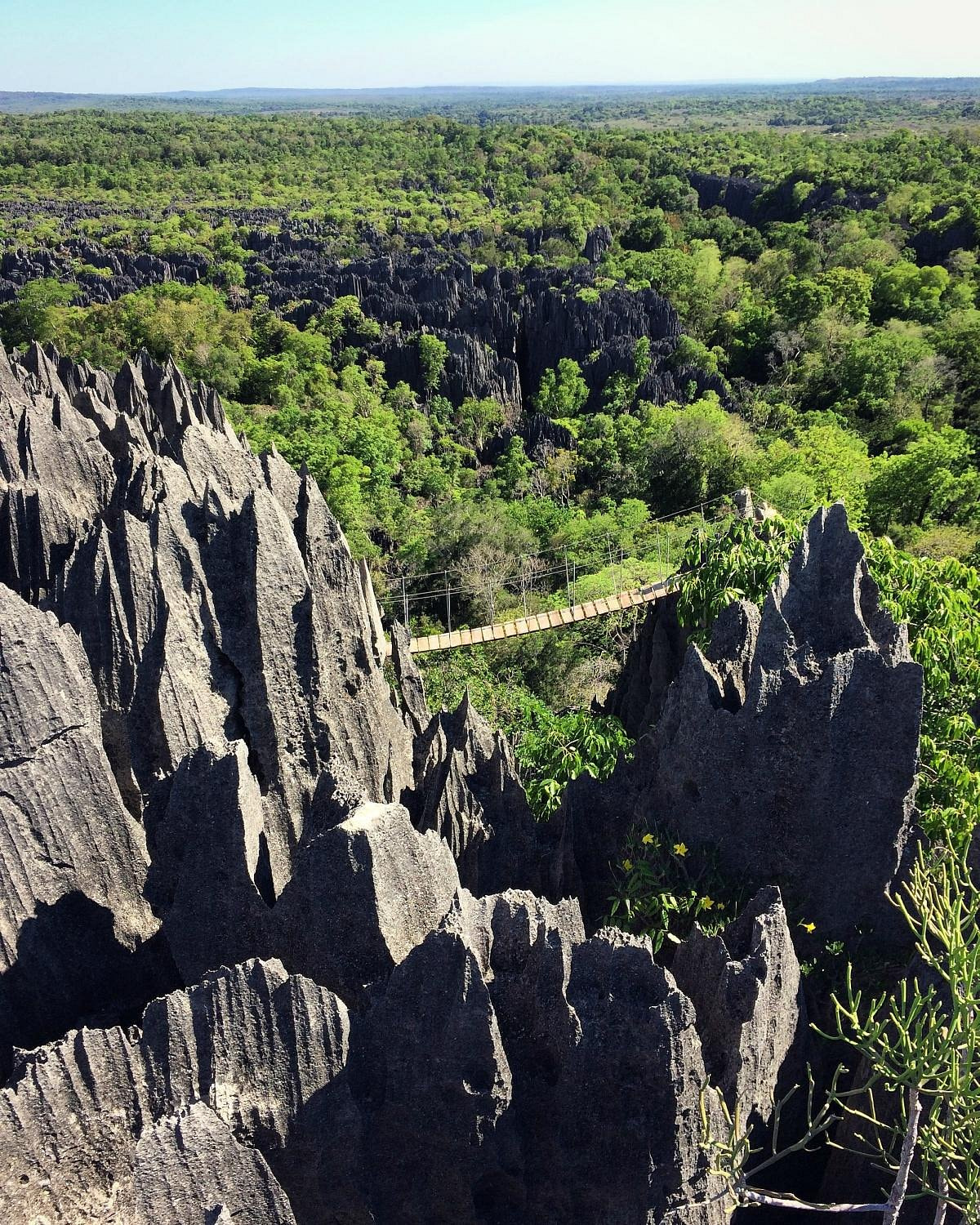 Tsingy de Bemaraha National Park