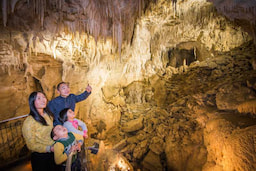 Waitomo Caves Day Excursion