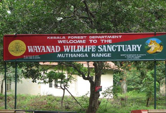 wayanad_wildlife_sanctuary