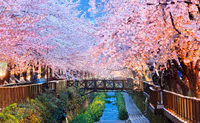 South Korea