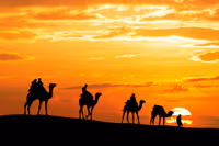 Jaisalmer