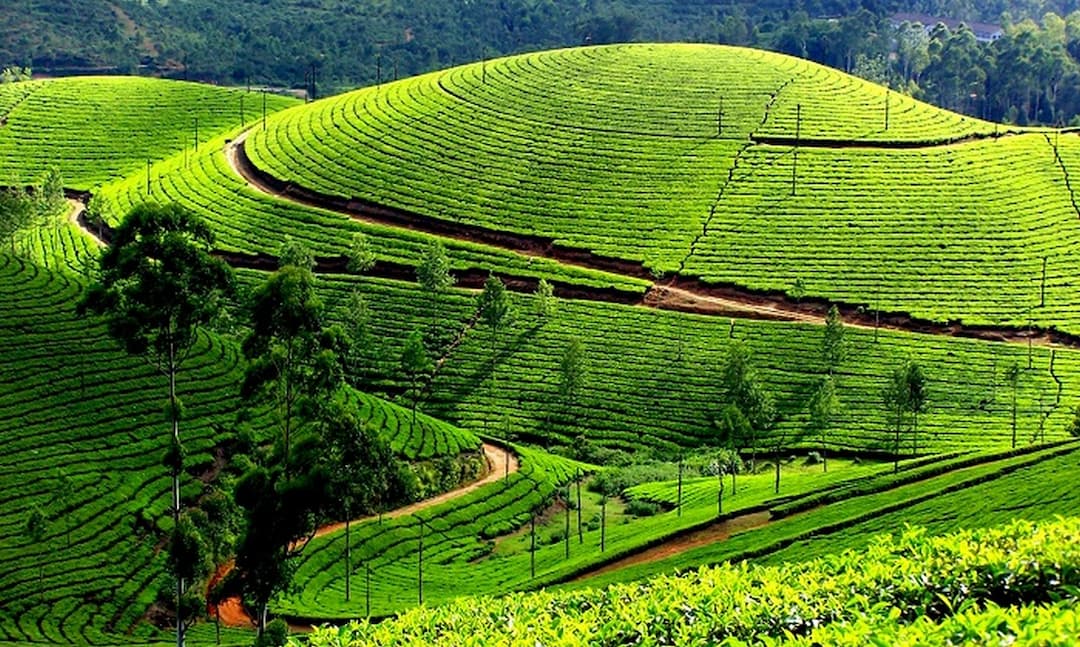 Best time to visit in Kerala