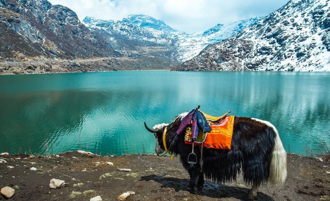 Best time to visit in Sikkim