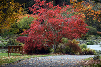 Botanic Gardens