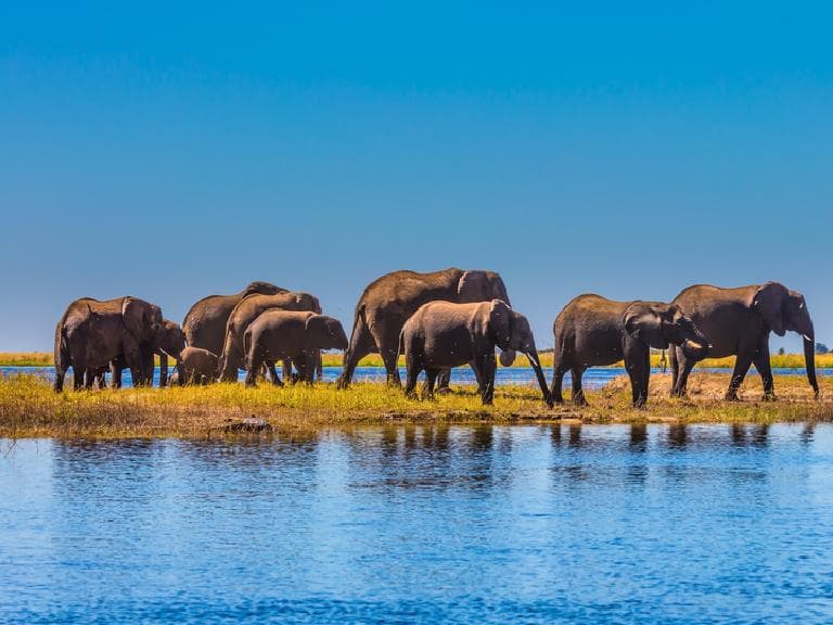 Best time to visit in Botswana