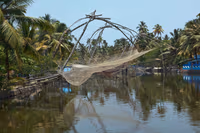 Chinese Fishing Nets