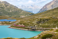 Golden pass line