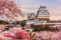 Japan 1