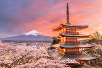 Japan 2