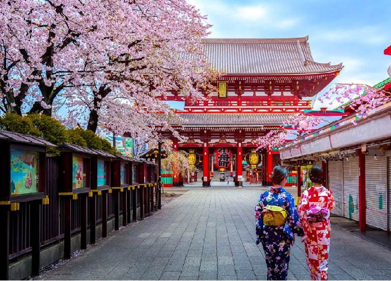 Best time to visit in Japan
