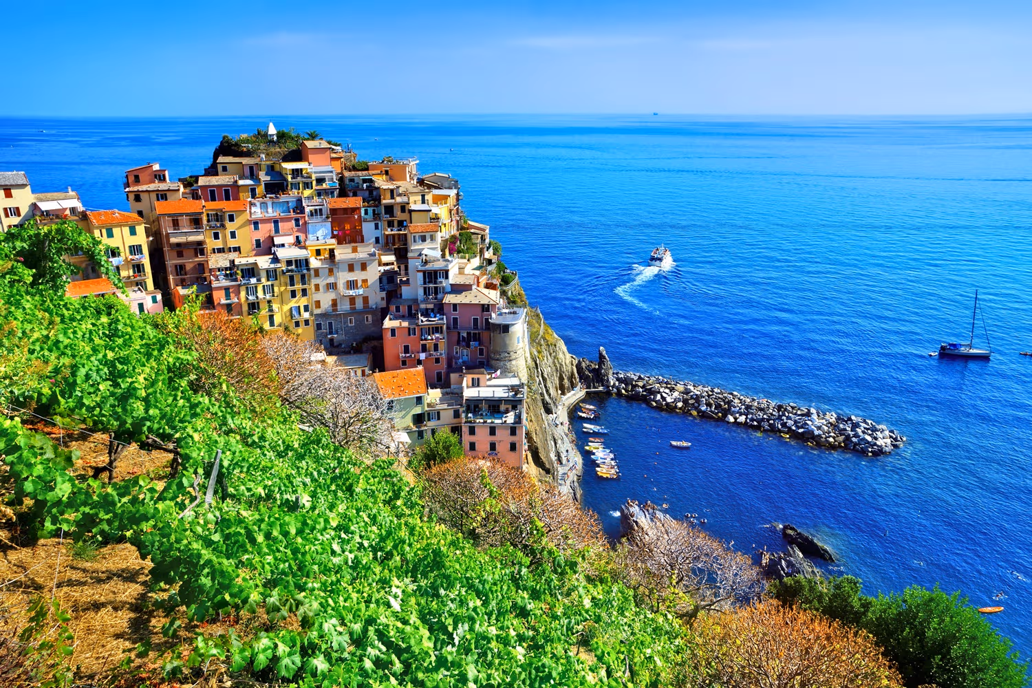 Manarola Tour