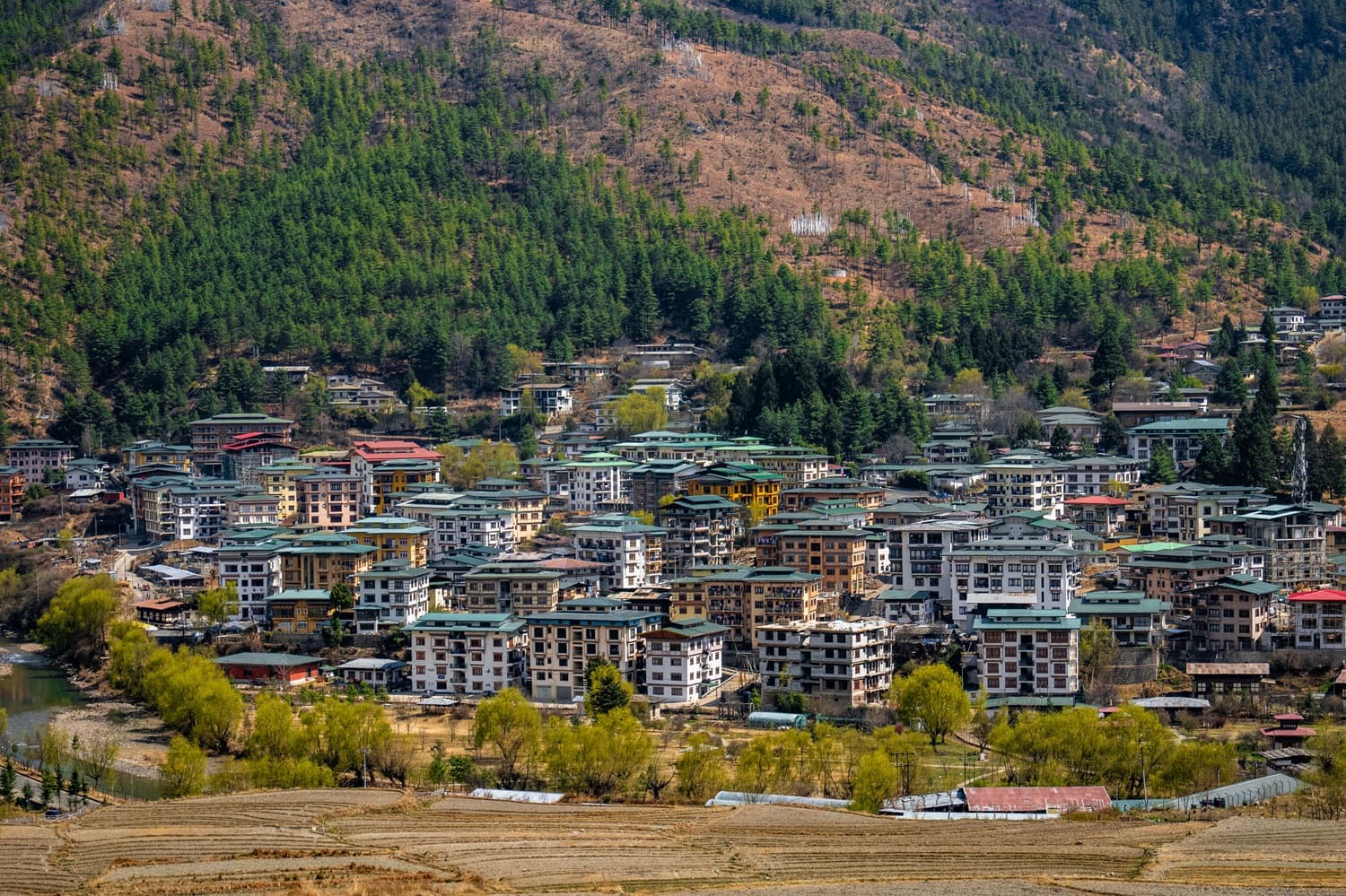 Mountain View with Paro