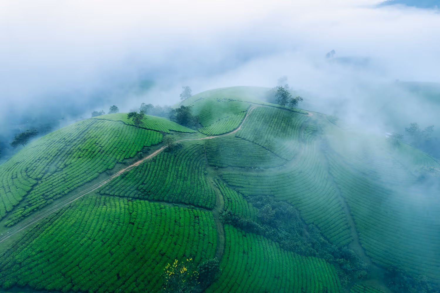 MUNNAR