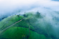 MUNNAR