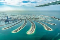 Palm Island